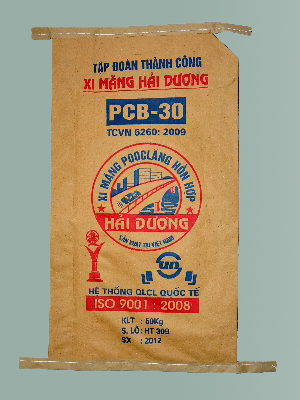 Mẫu bao bì 02
