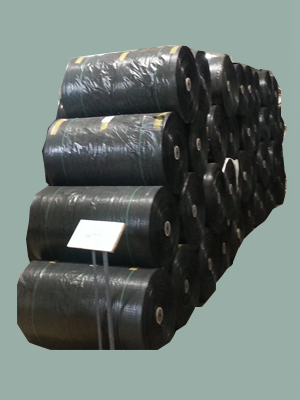 Vải dệt PP + KP dạng cuộn